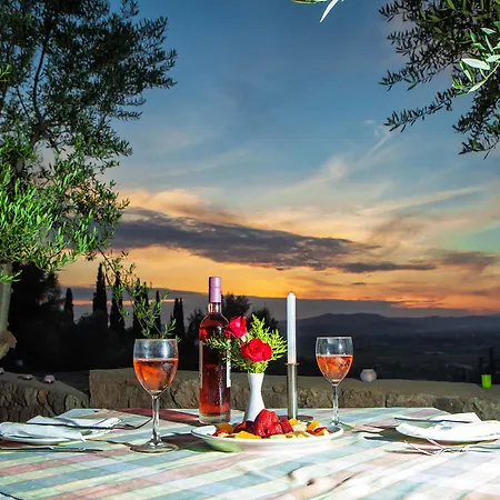 Europa Olympia Ancient Olympia